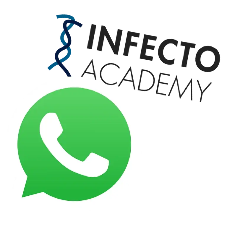 grupo-whatsapp